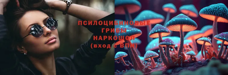 Галлюциногенные грибы Psilocybe  Галич 